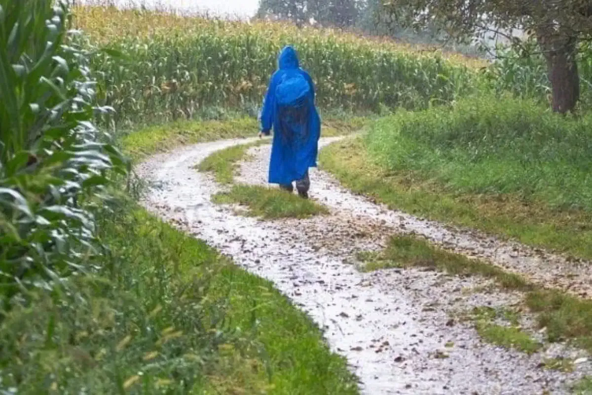 Pilgerin im Regen