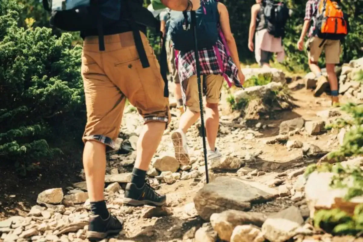 Peregrinos caminhando