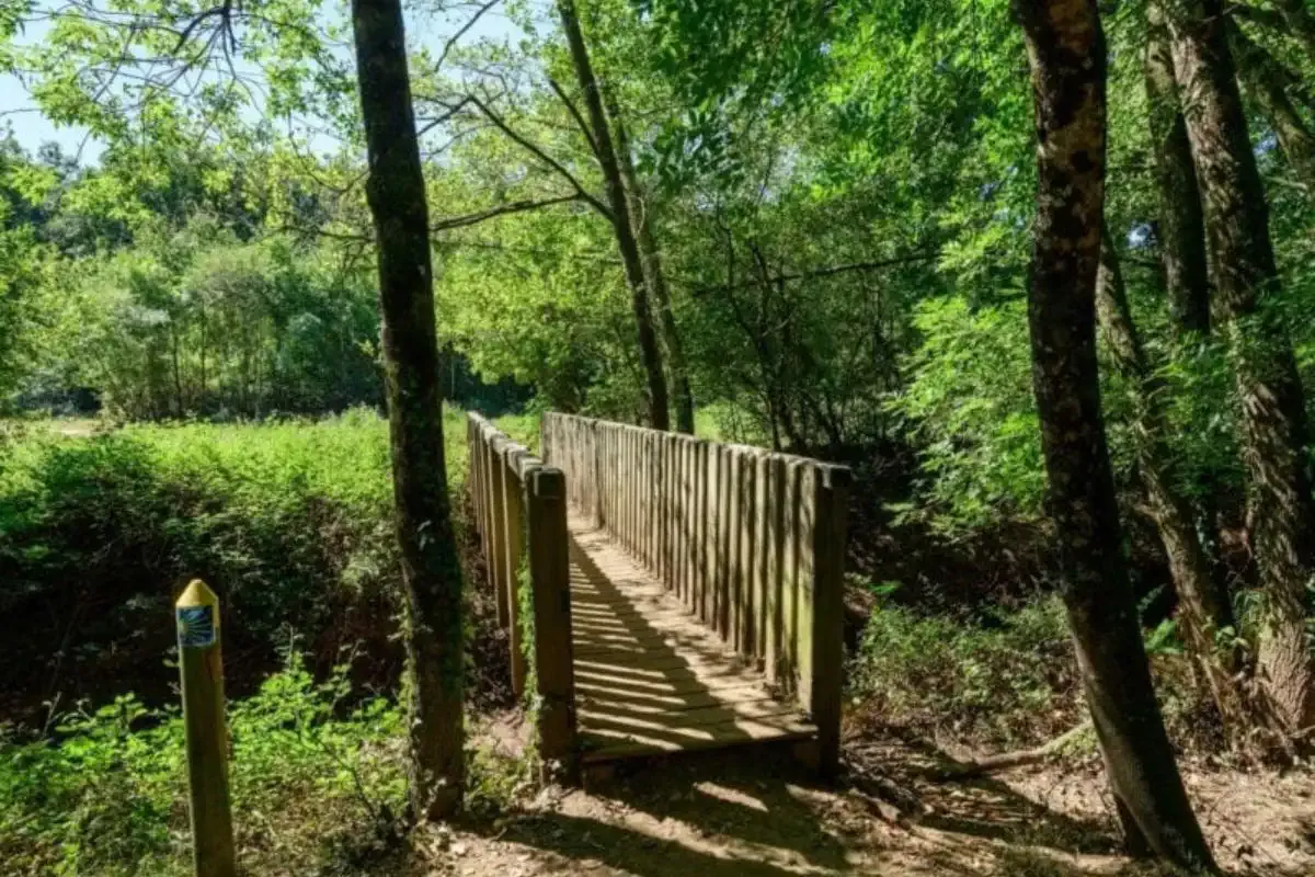 Puente en el Camino