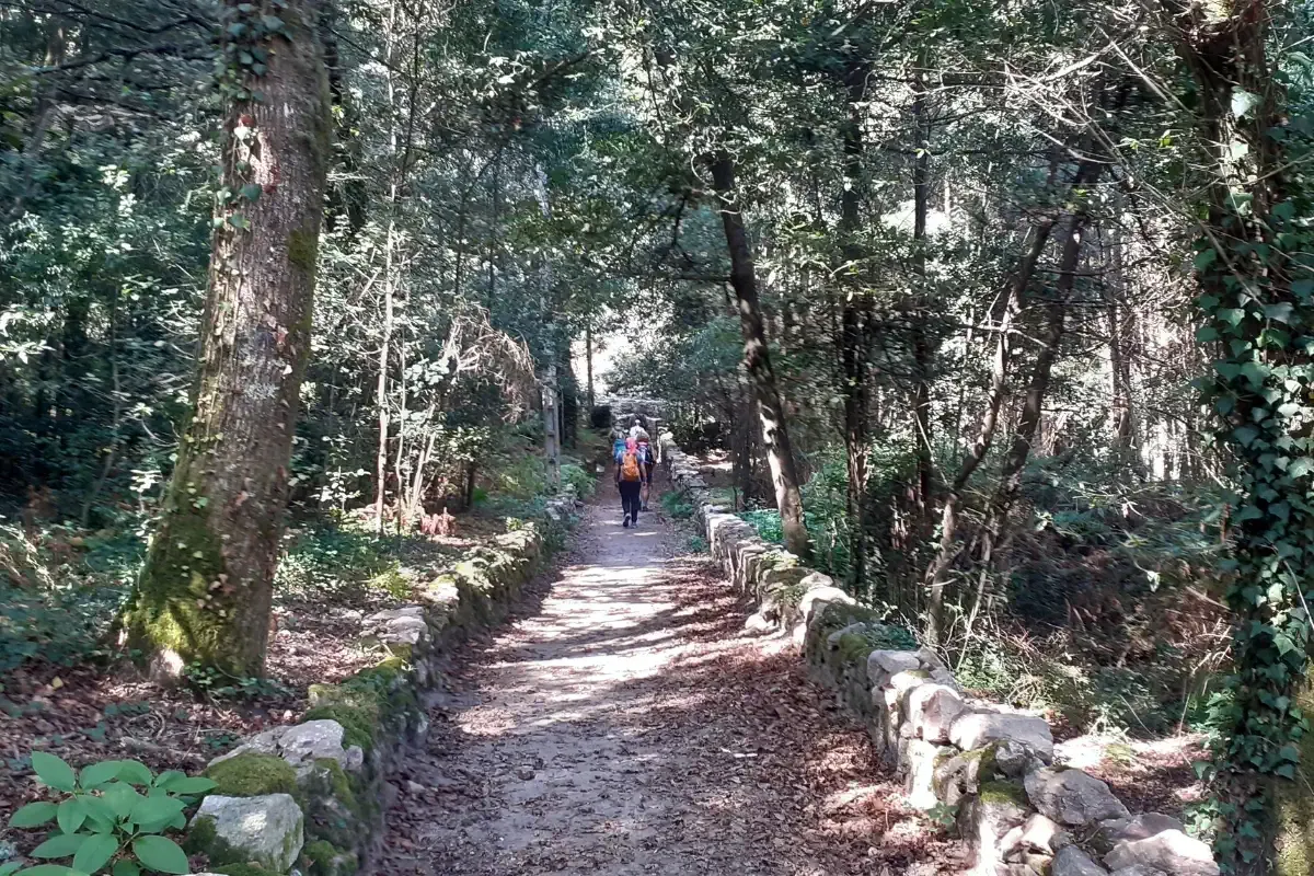 Pèlerins
