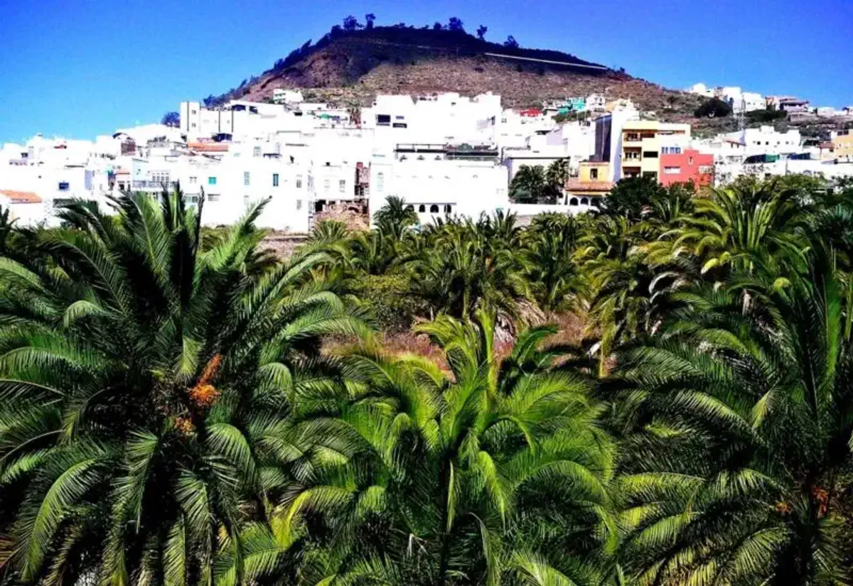 Panorámica del Camino canario