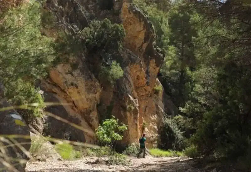 Mariano Navascués a piedi sul Camino