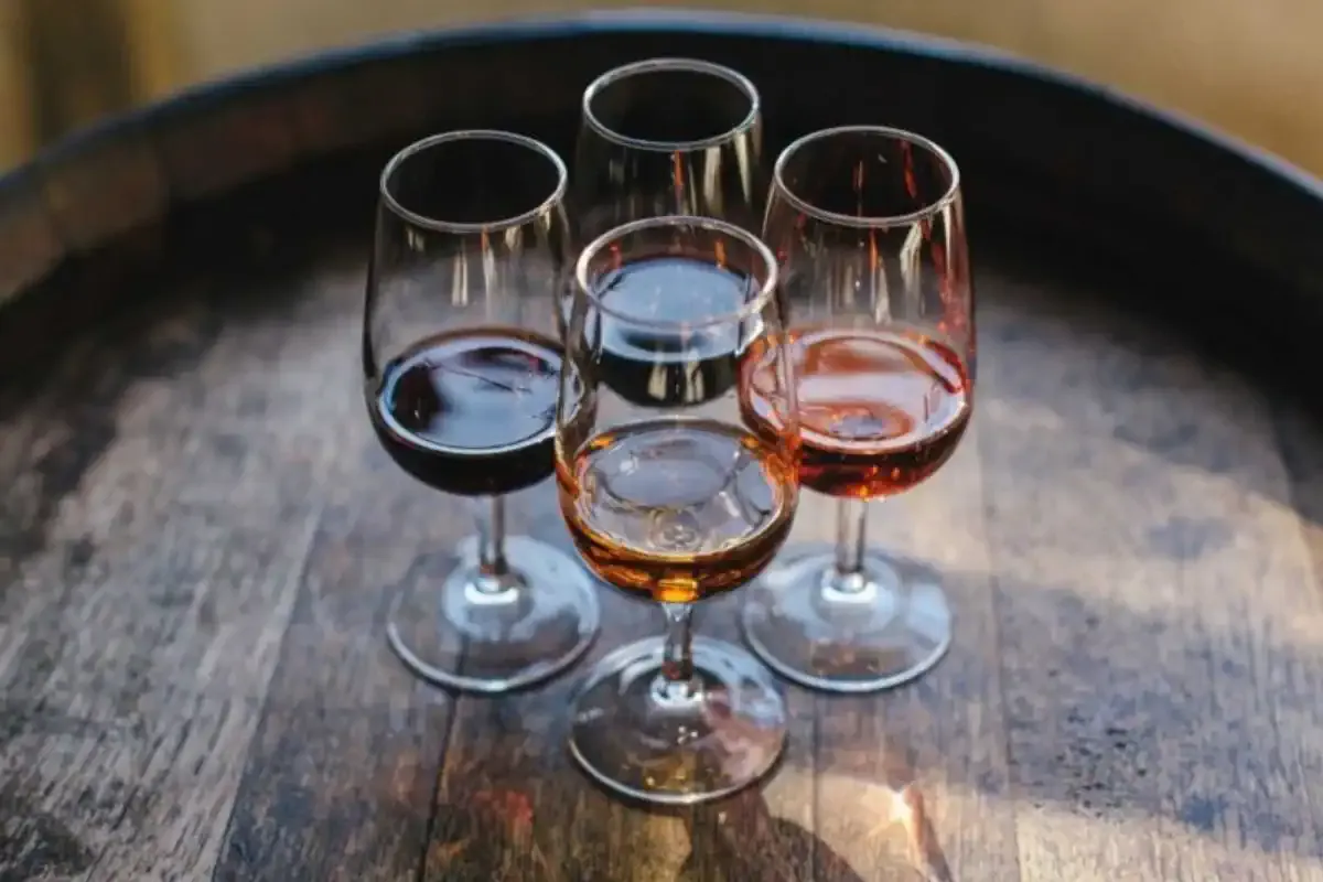 Vini del Cammino