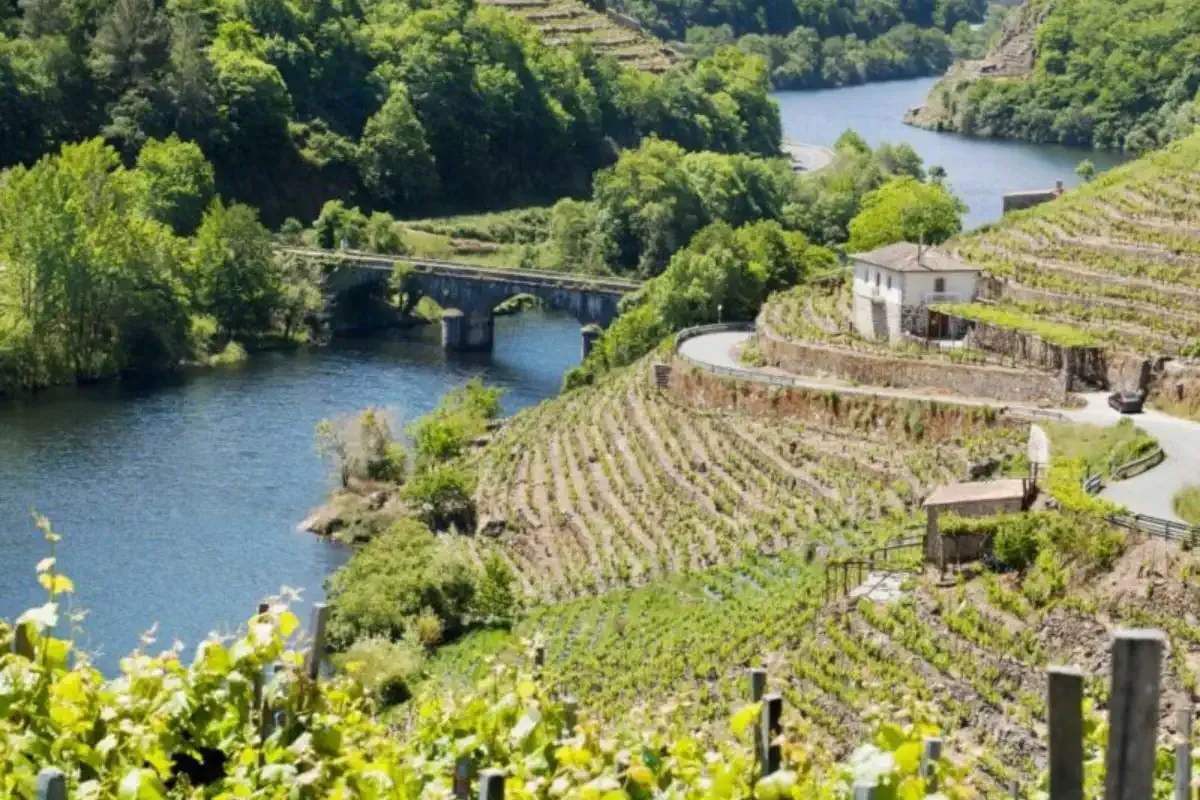 Ribeira Sacra