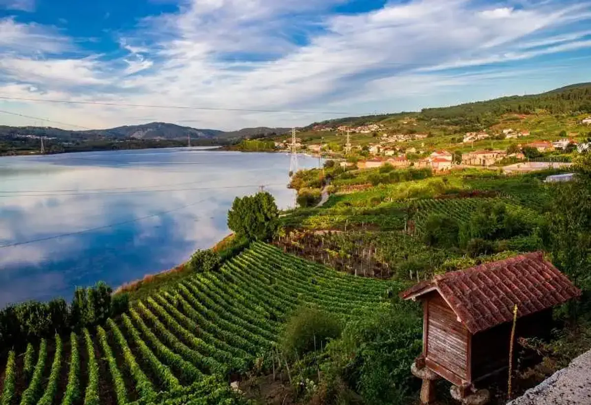 Comarca de O Ribeiro