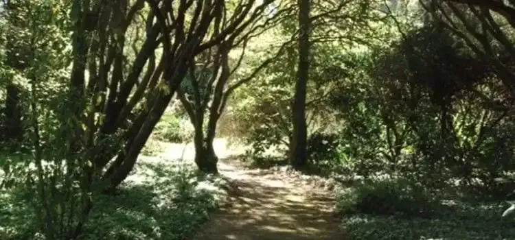 Camino Jardín Pazo A Saleta