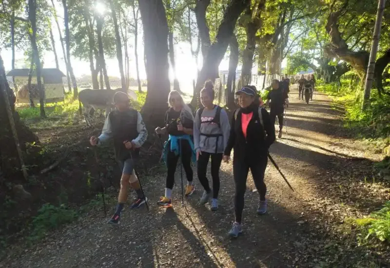 Gente caminando feliz por el Camino