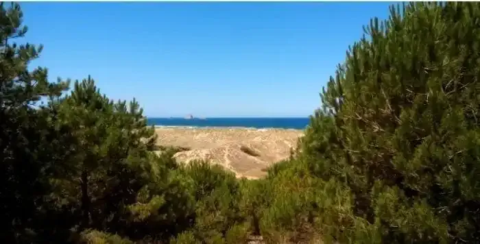 Parque Natural de las Dunas de Liencres