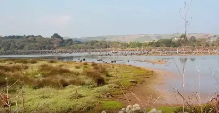Marismas en el Parque Natural de Oyambre