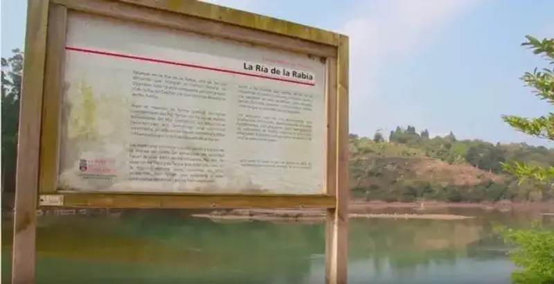 La Ría de la Rabia
