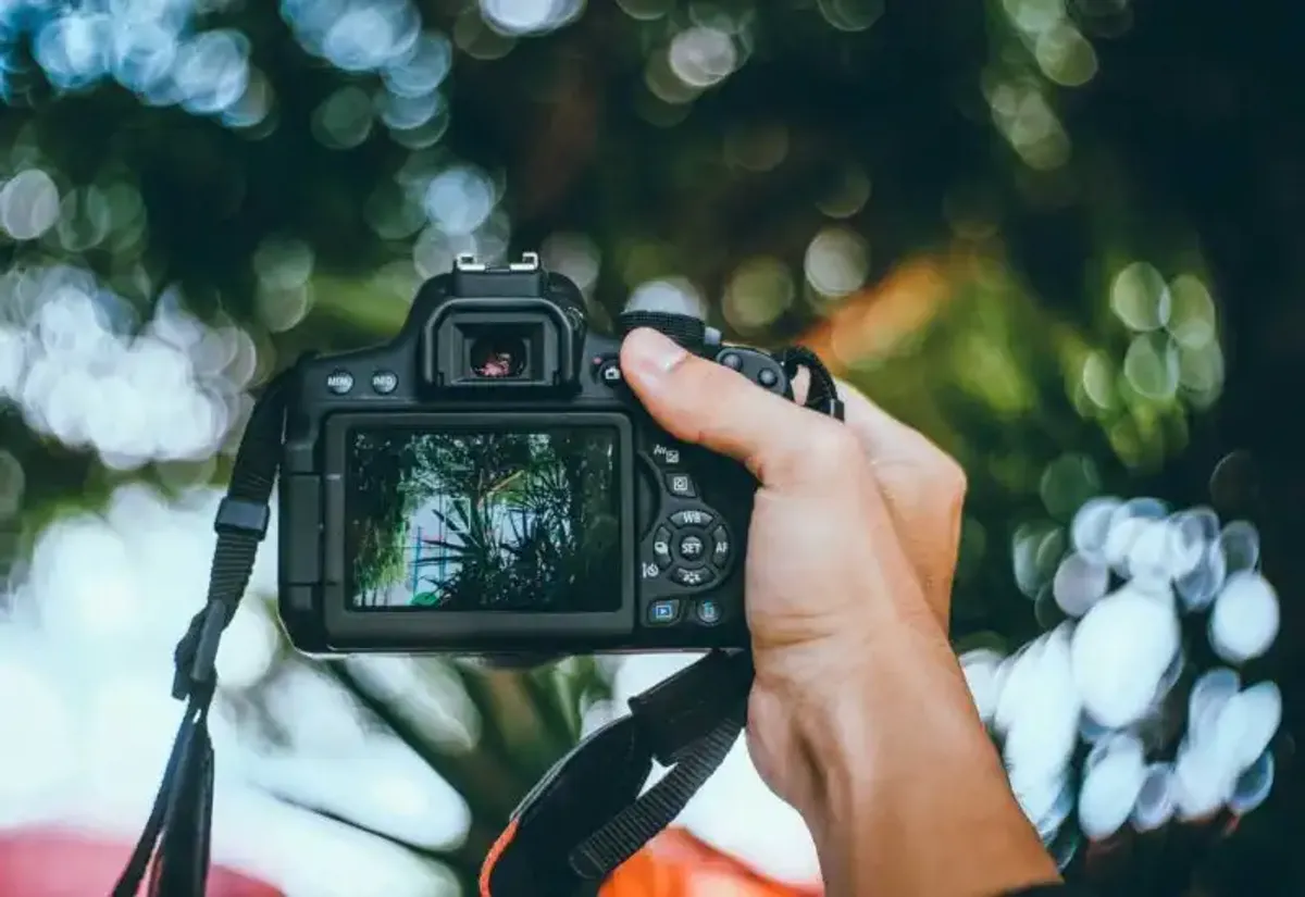 Encuadre de la fotografía