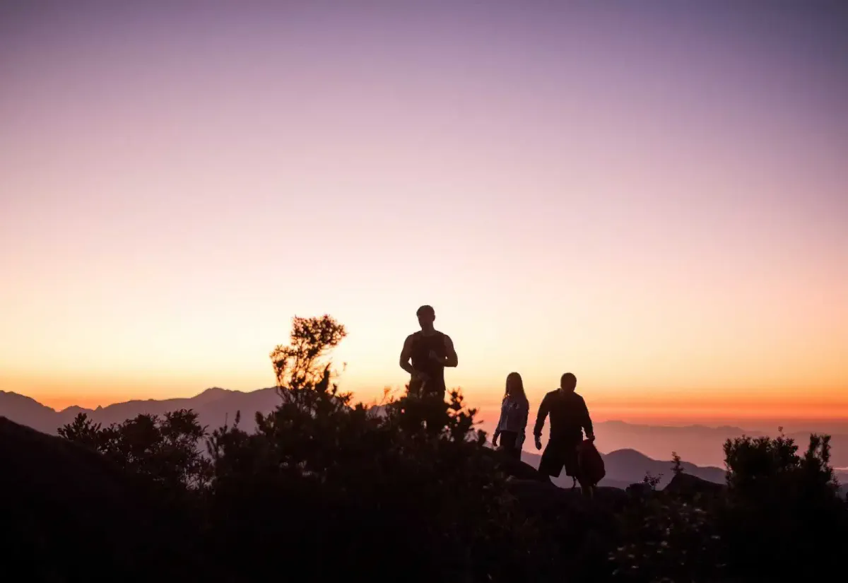 Siluetas al atardecer