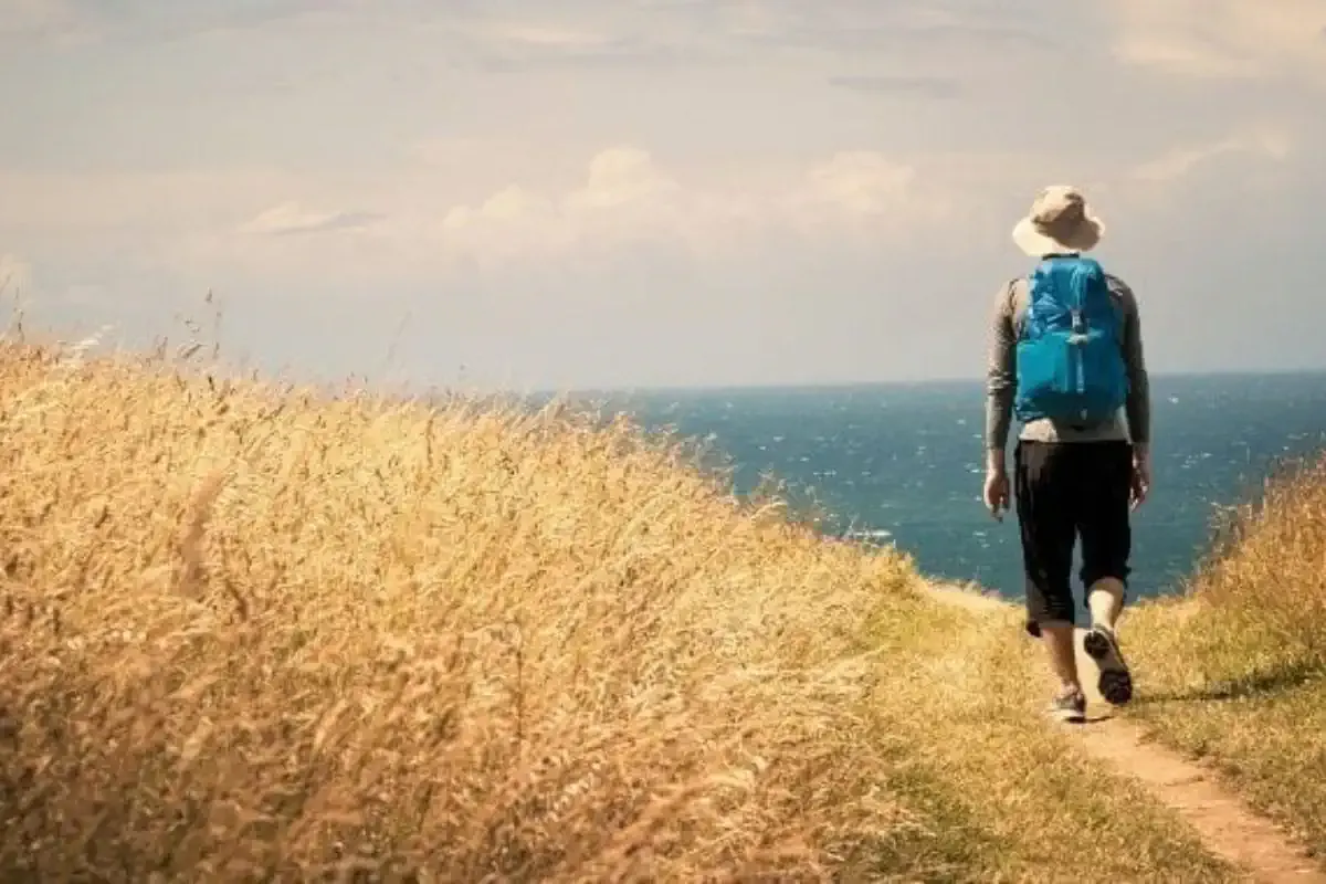 Pilgrim walking alone