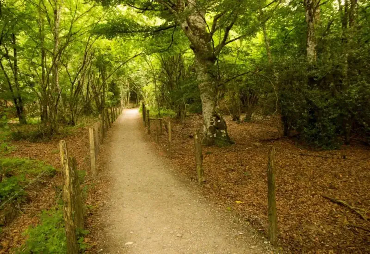 Una ruta del Camino Francés