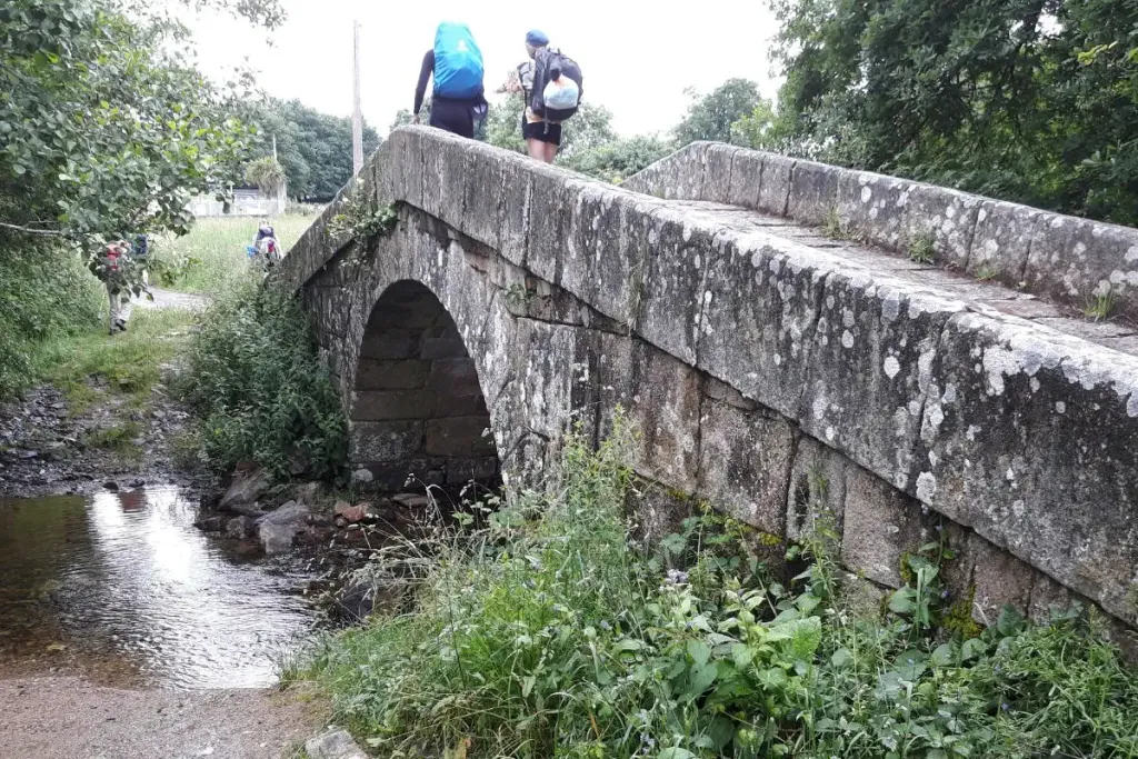 Pilgrims fulfilling one of their goals, walking the French Way.