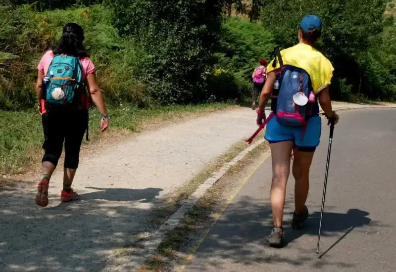 Nuestros peregrinos en la etapa de Portomarín a Palas de Rei