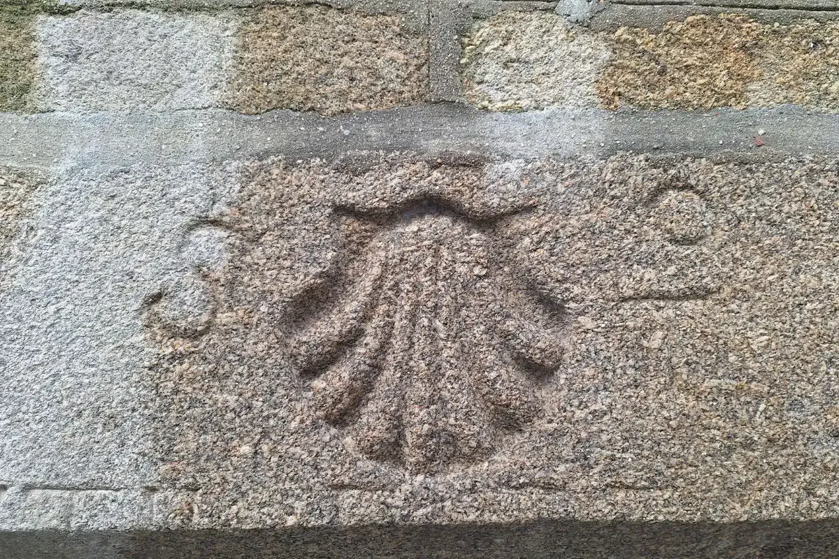 Concha de vieira grabada en granito