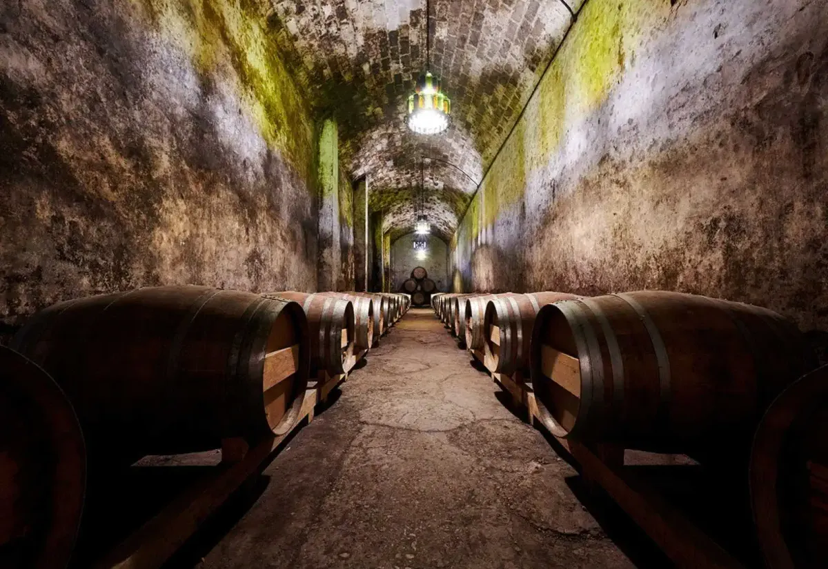 Las Bodegas Irache