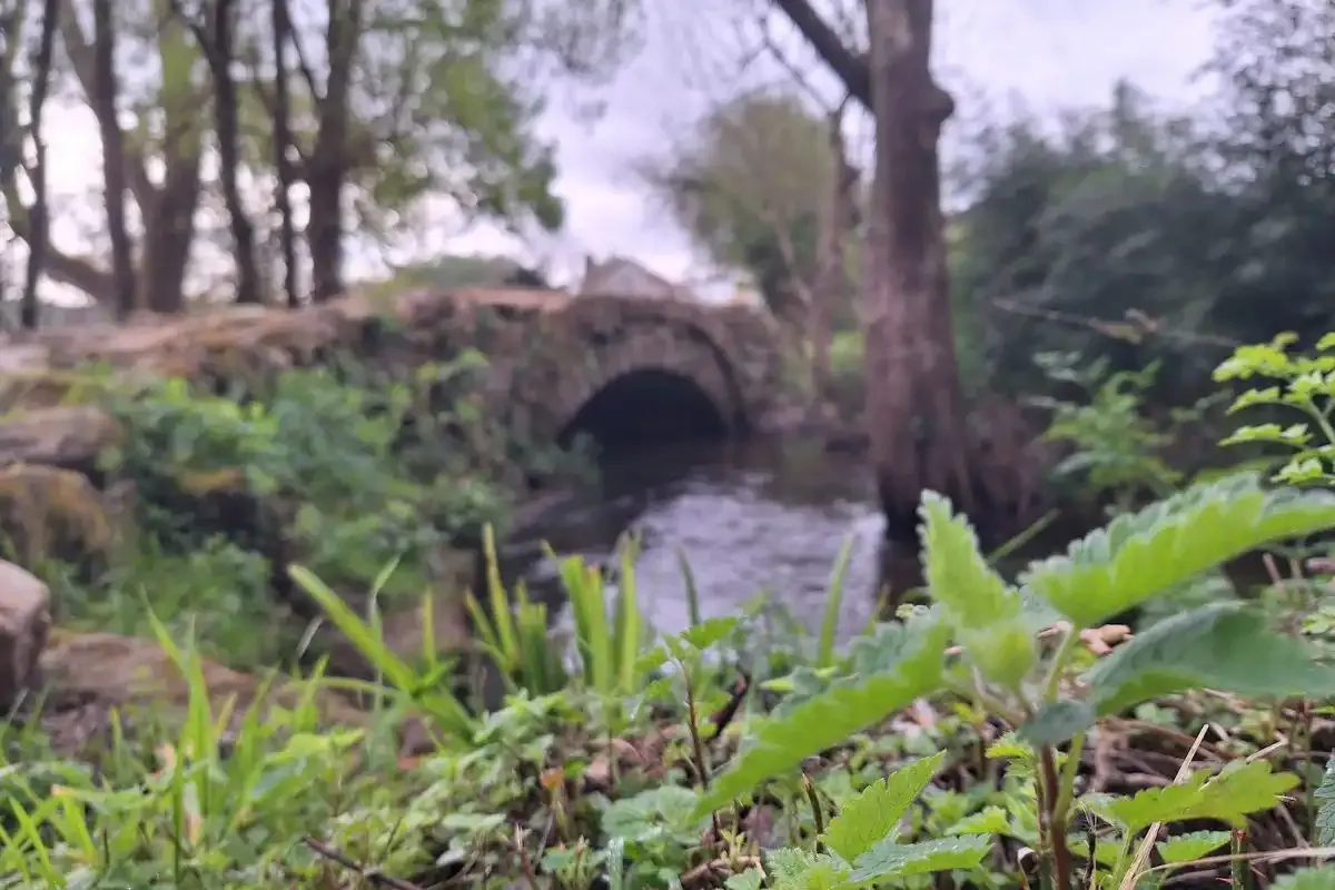 Puente en el Camino Inglés