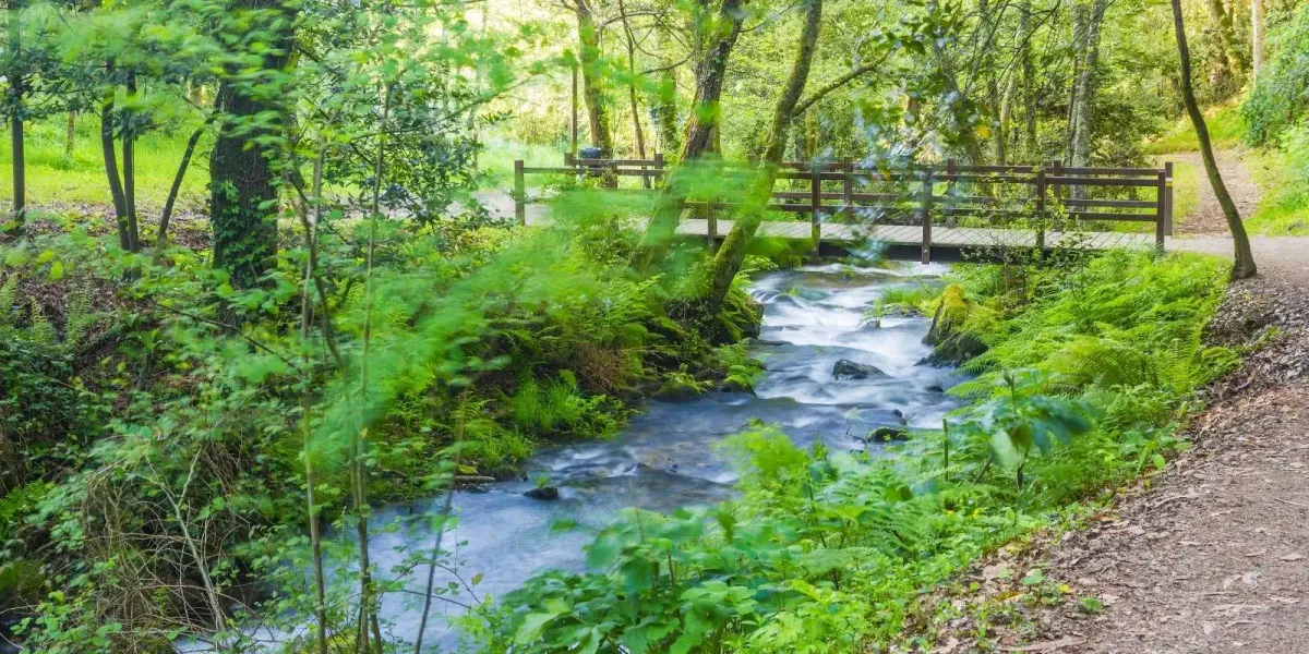 Ruisseau