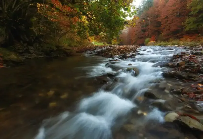 Río Irati en la Selva de Irati Navarra