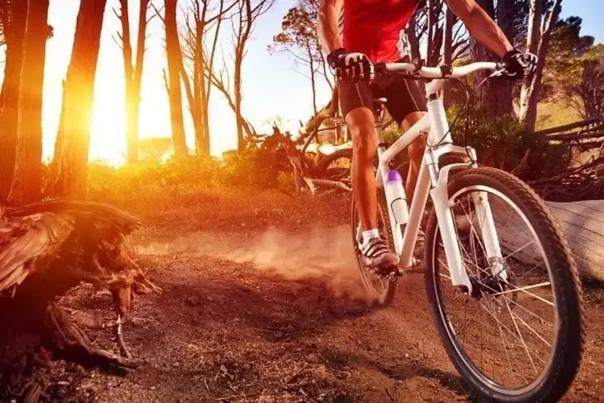 Person fährt bergab mit dem Fahrrad