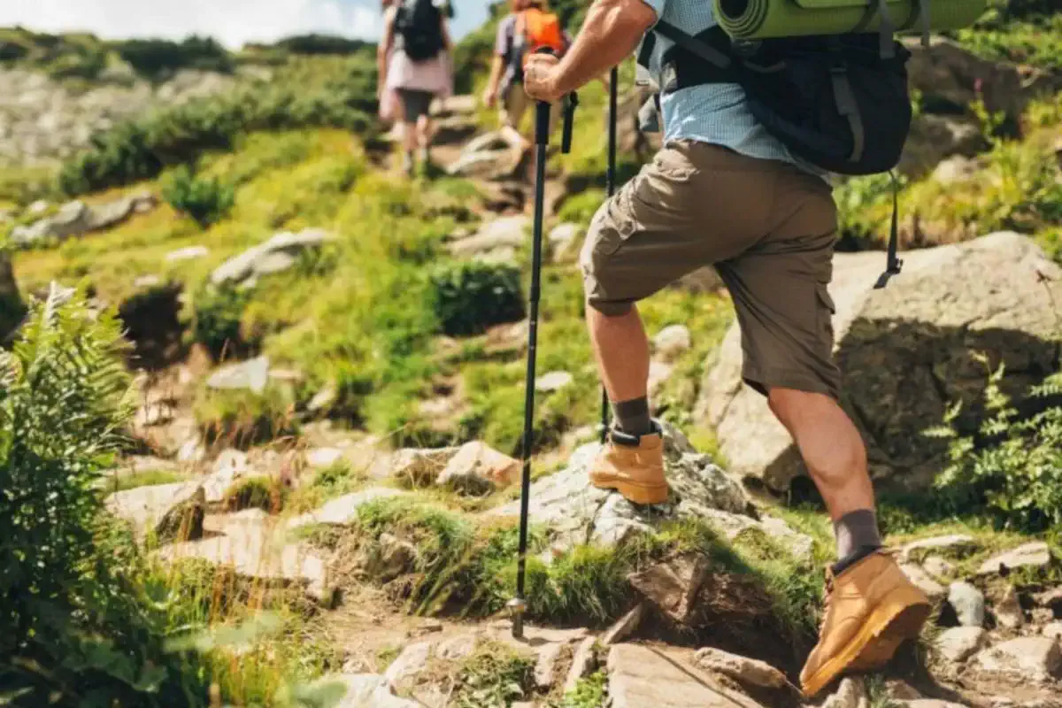 Pilgrims walking