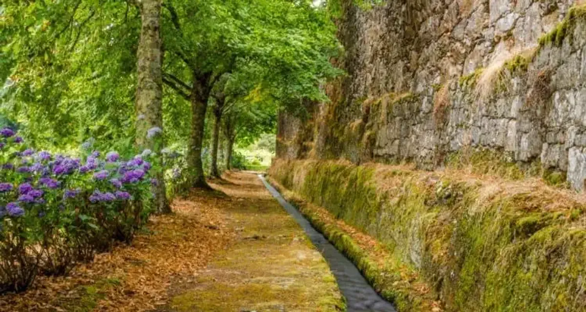 Pazo de Oca