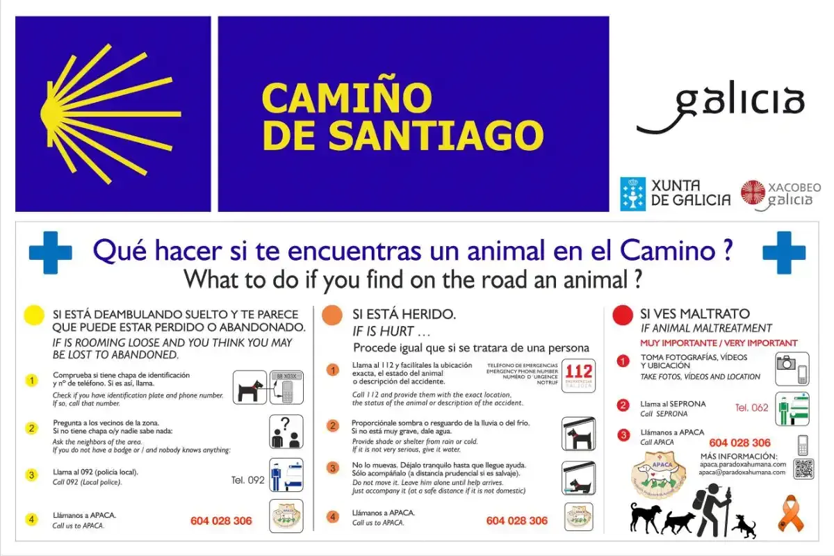 Señal de qué hacer si encuentras un animal perdido en el Camino