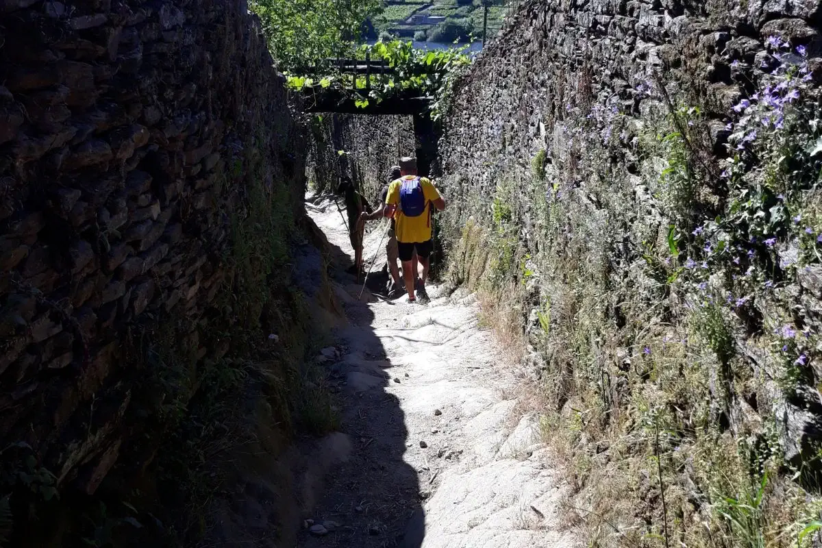Peregrinas