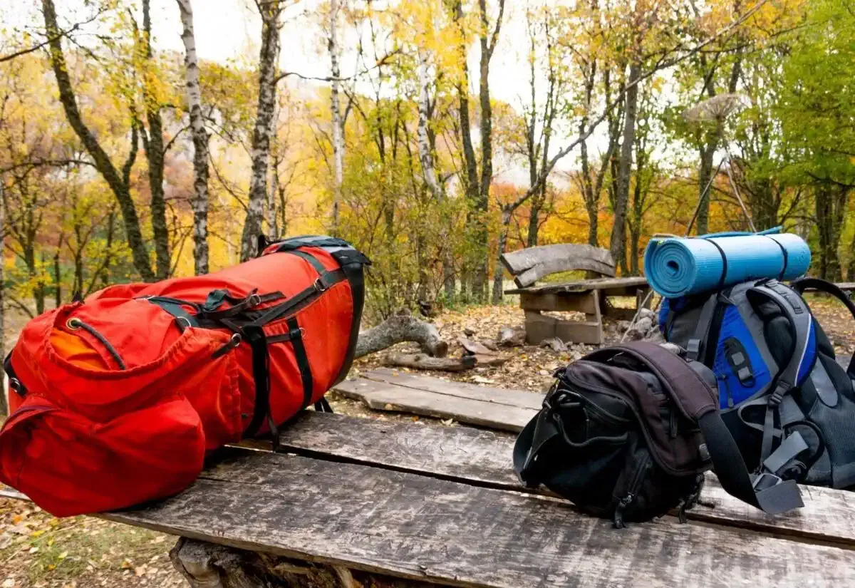Backpacks