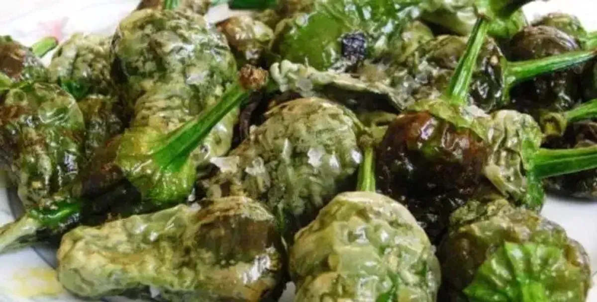 Pimientos de Padrón