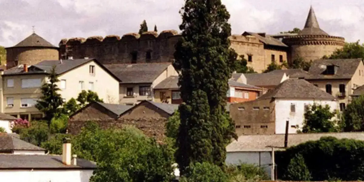 Cyprès de l