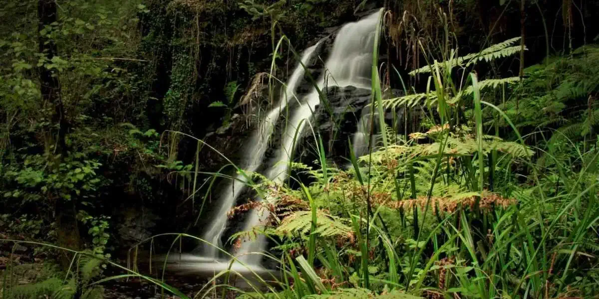 Cascade Pincheira Barco Valdeorras