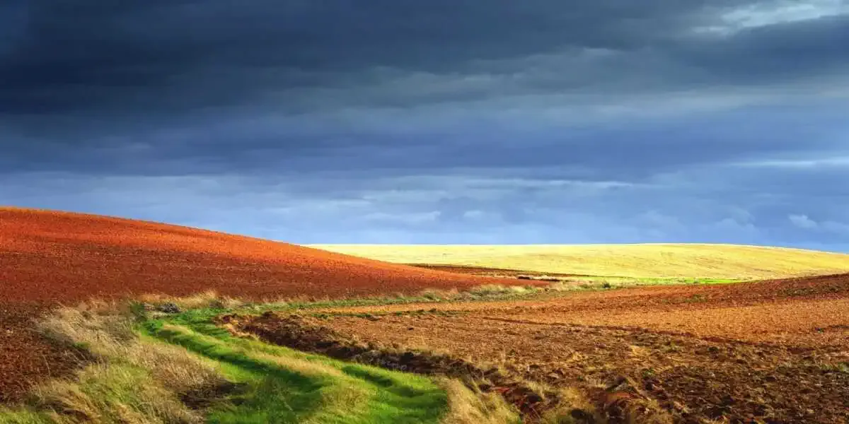 Tierra de Campos - Bercianos del Real Camino