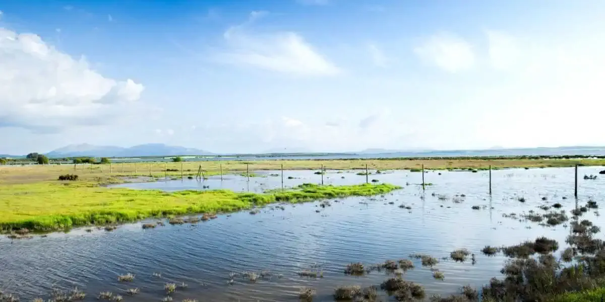 Réserve naturelle des Lagunes de Villafáfila - Tierra de Campos