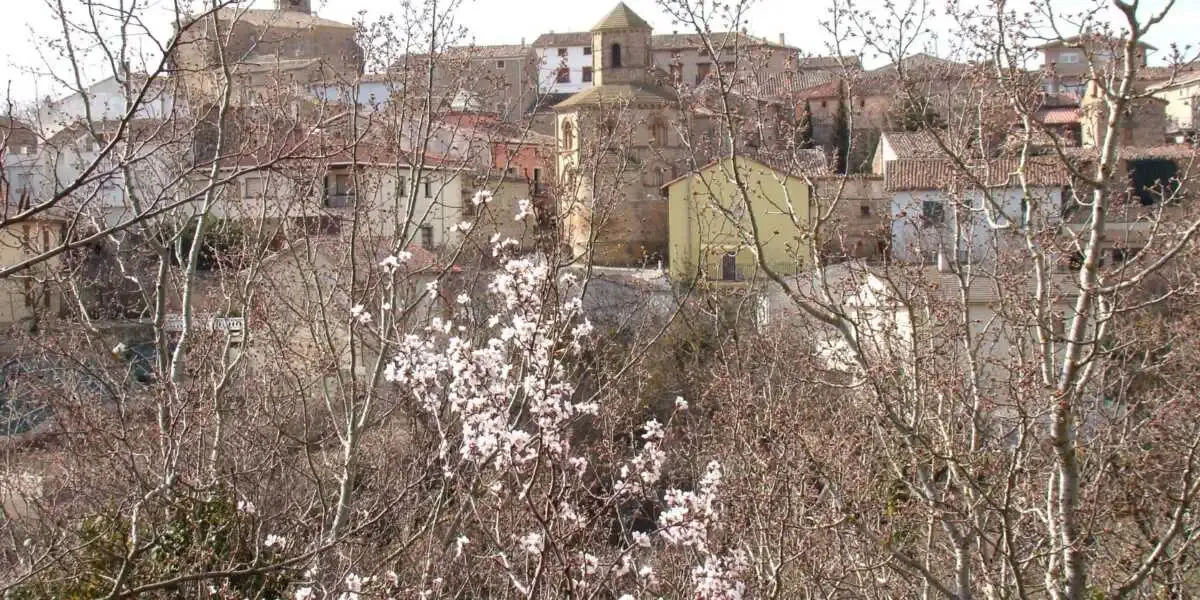 Bellezza naturale di Estella - Torres del Río