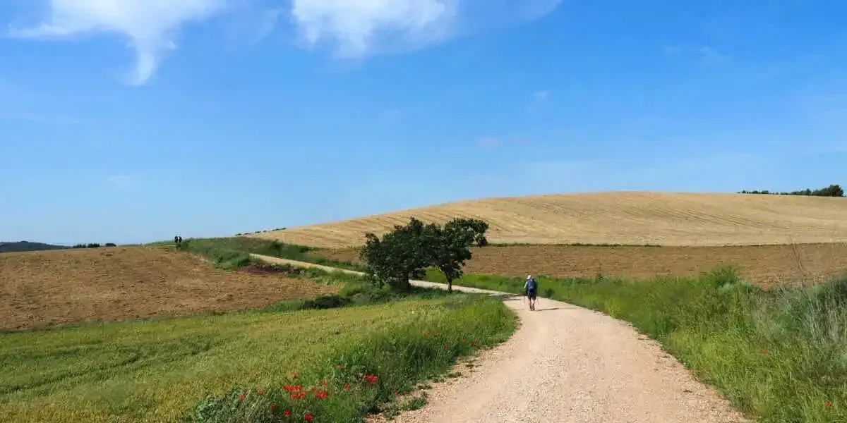 Route de Castillo de Monjardín - Villamayor de Monjardín