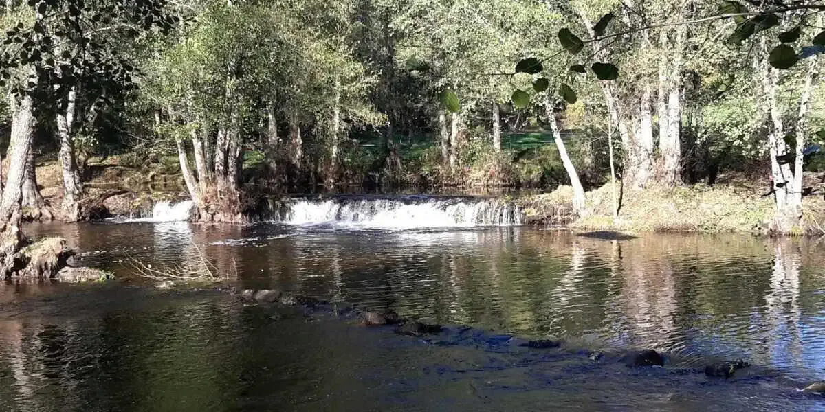 Strand fluvial- Xunqueira de Ambía
