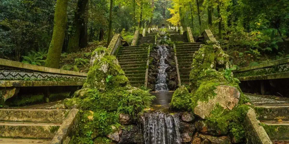 Forêt de Bussaco Camino Portugues Mealhada