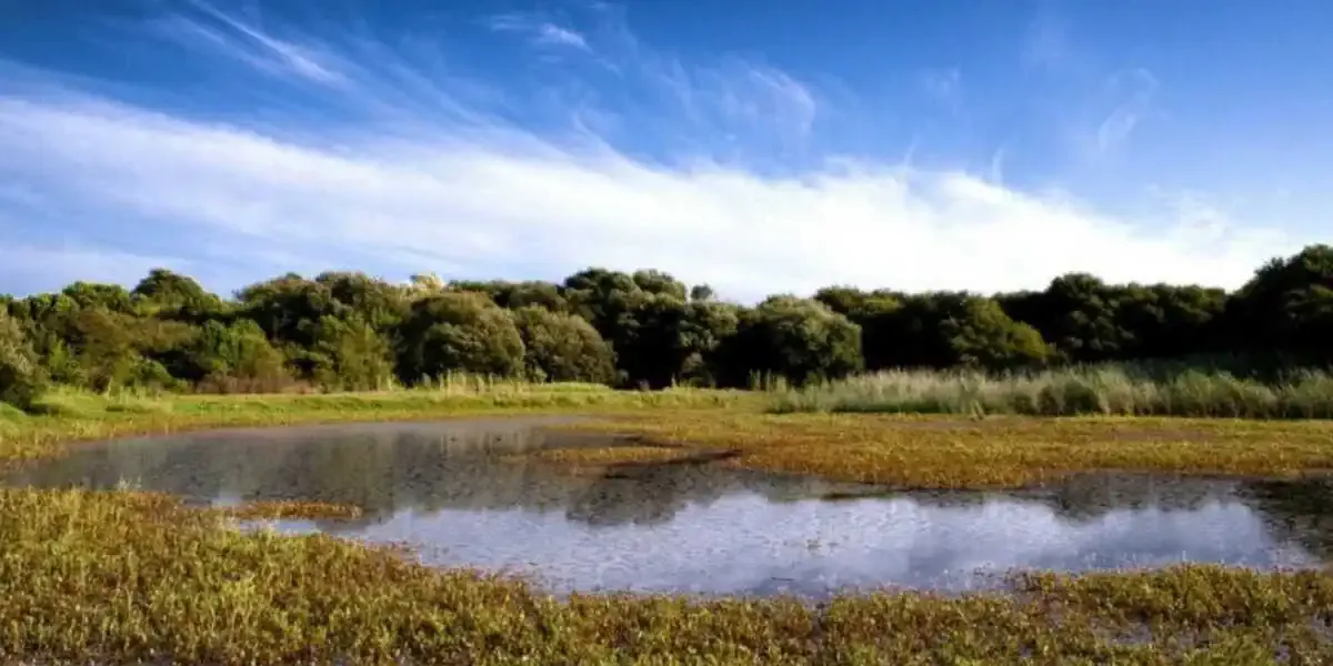 Lagune de Bodeira O Grove