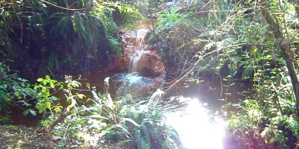 Ruisseau - Lavacolla