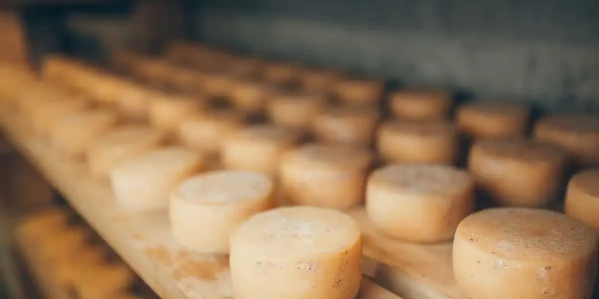 Fromage Arzúa Ulloa - Ribadiso