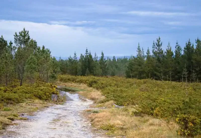 Natur Miraz