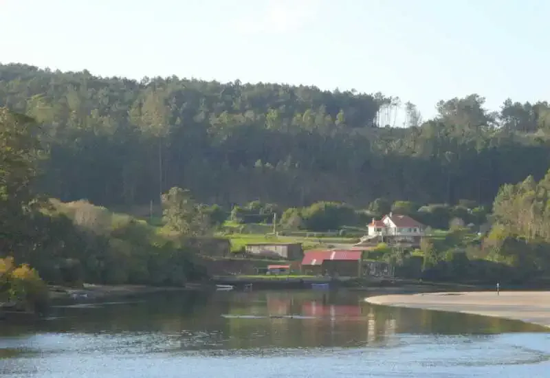 Estuario de los Ríos