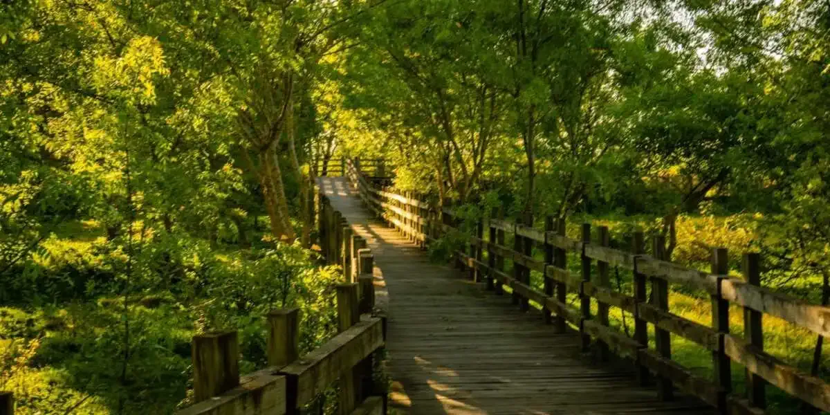 Park la Pradera - Benavente