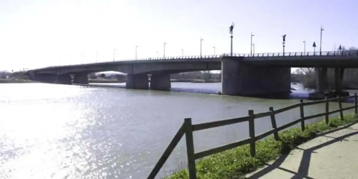 Ponte de los tres árboles - Zamora