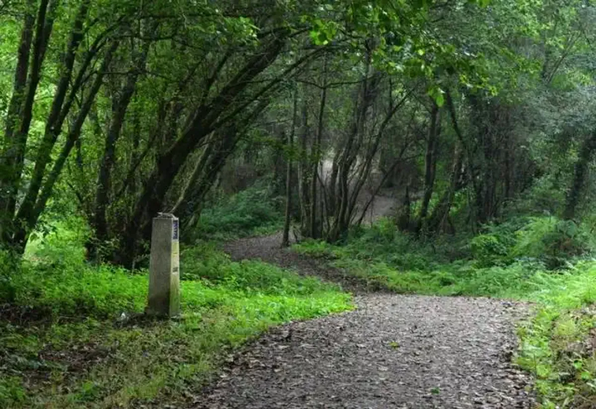 Sendero del Camino desde A Coruña