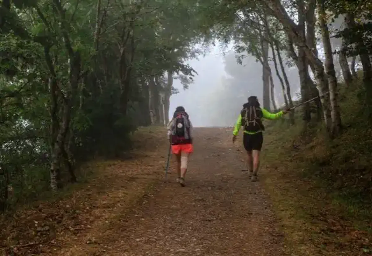 Dos peregrinos en una ruta con niebla