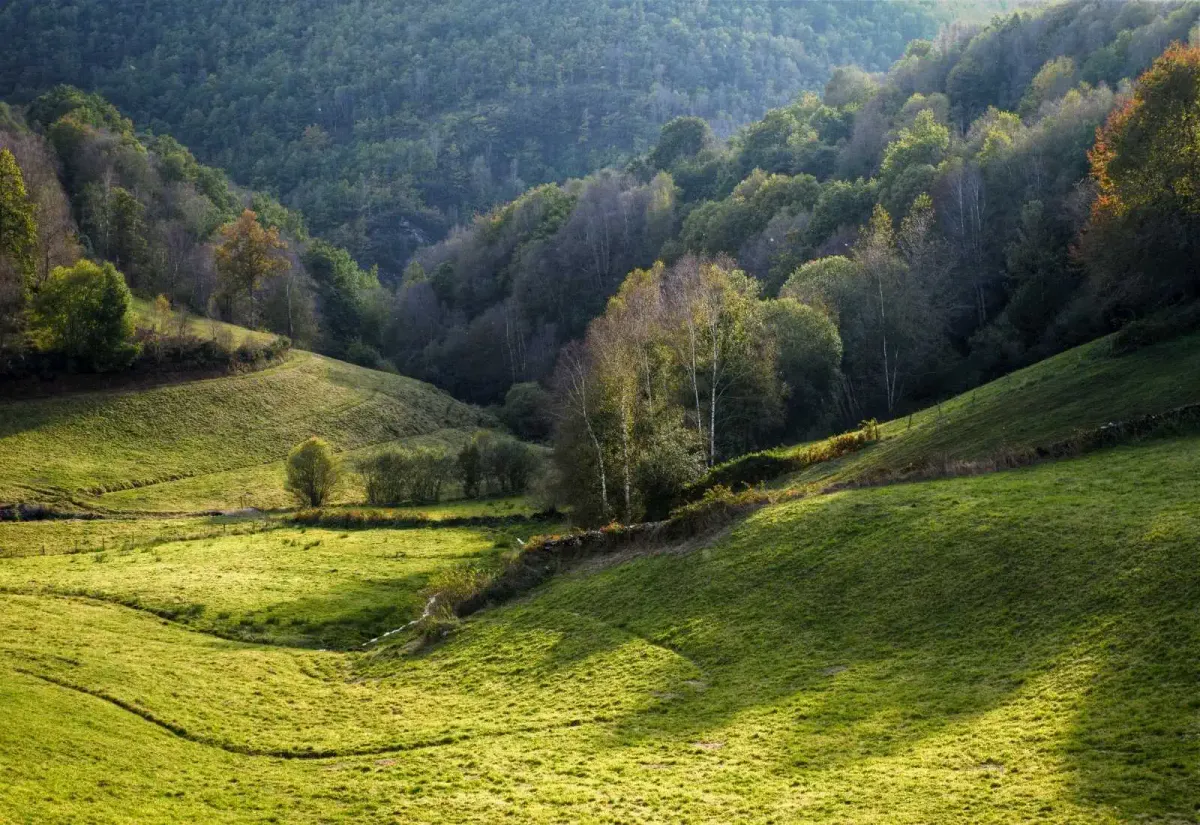 Landschaft der Ancares